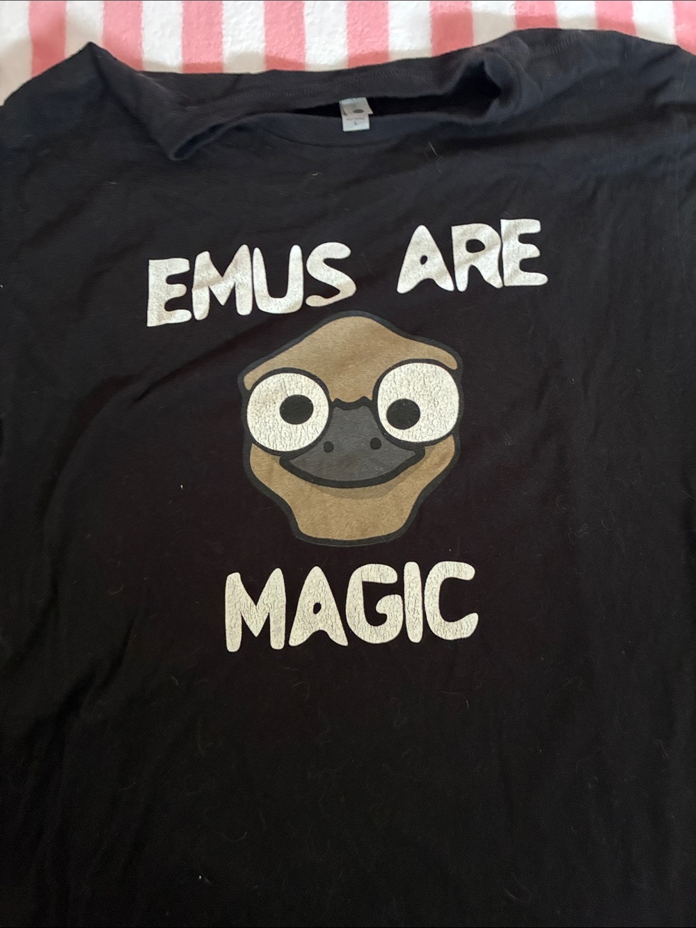 Oversimplified YT channel merch referencing the Emu war